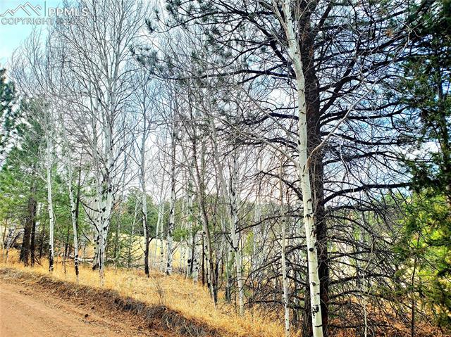 117 Apache Road Florissant, CO 80816 - Photo 10 of 15