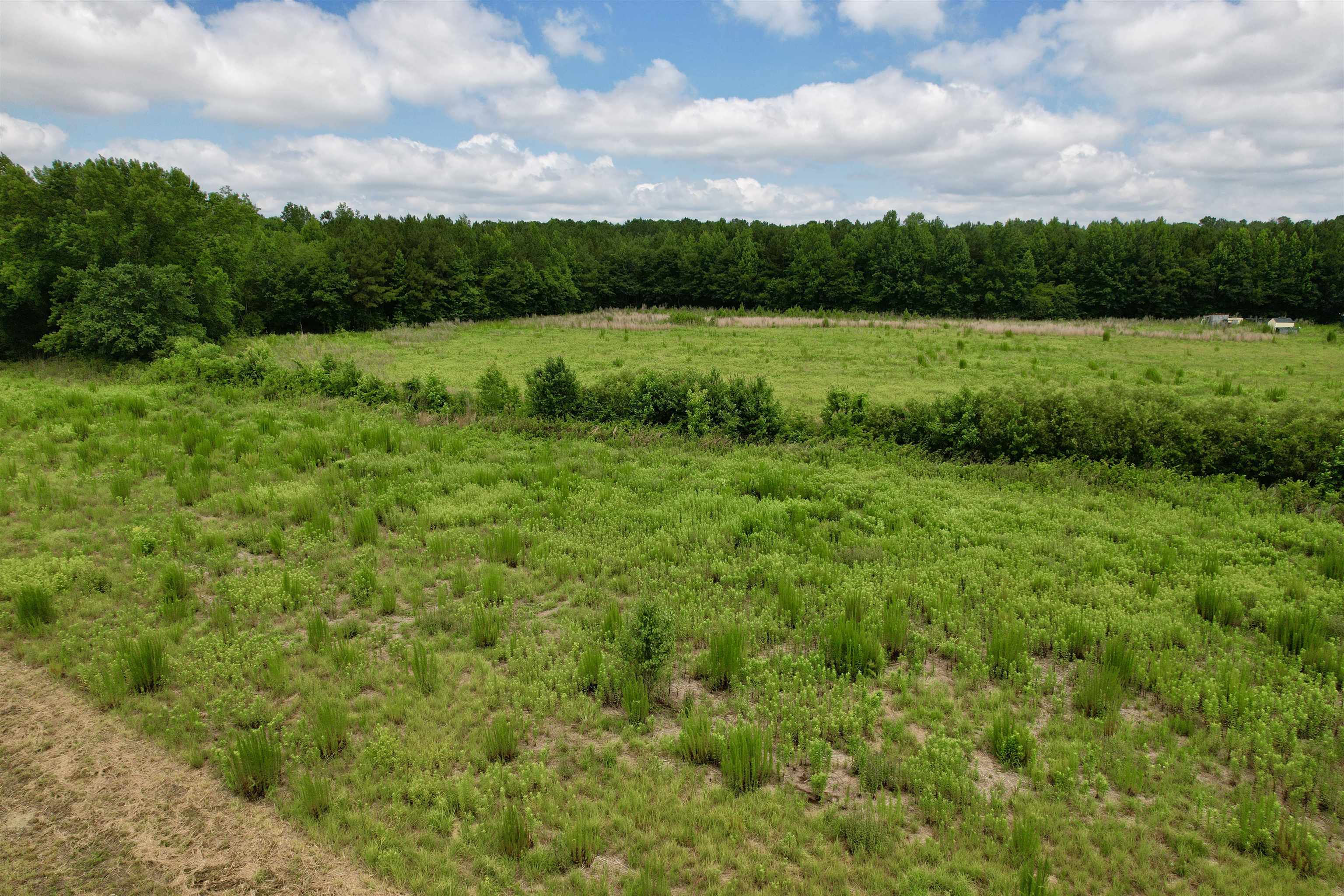 0 Powell Rd Green Green Sea, SC 29545 - Photo 20 of 72