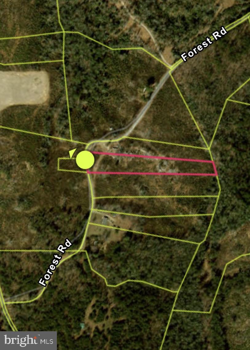 0 Forest Road Warsaw, VA 22572 - Photo 6 of 9