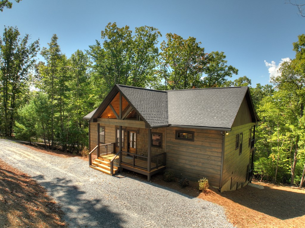 187 Chickadee Road Morganton, GA 30560 - Photo 48 of 94