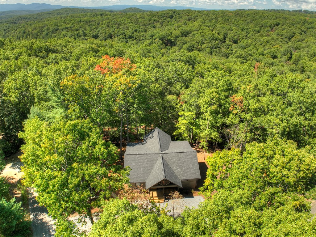 187 Chickadee Road Morganton, GA 30560 - Photo 51 of 94