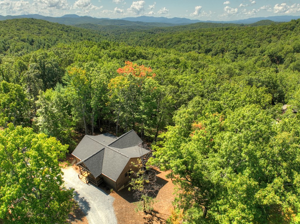 187 Chickadee Road Morganton, GA 30560 - Photo 93 of 94