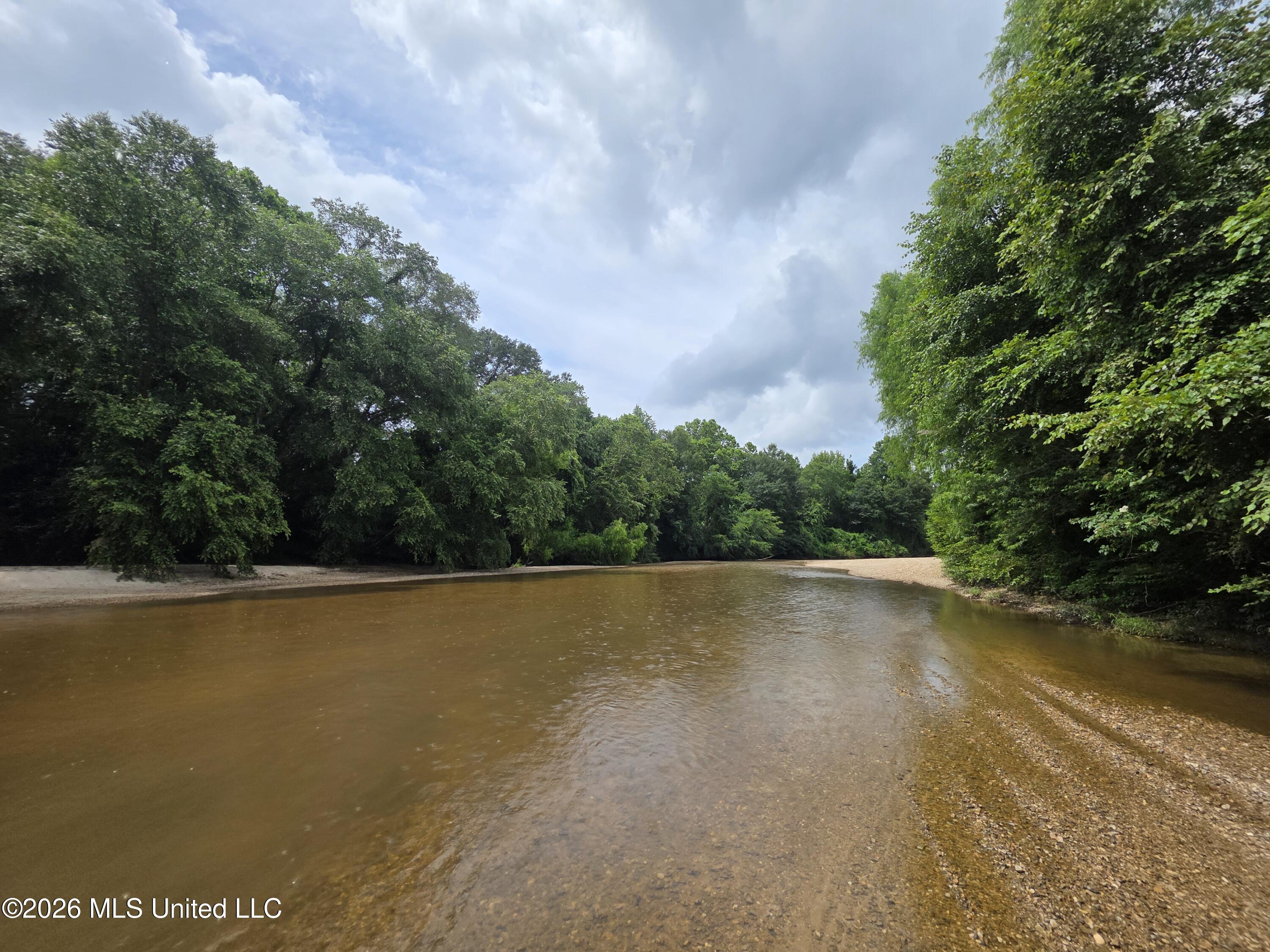 244 Foster Road Sontag, MS 39665 - Photo 6 of 105 35702
