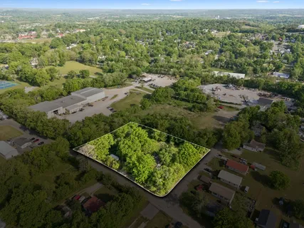 an aerial view of green landscape with trees houses and mountain view