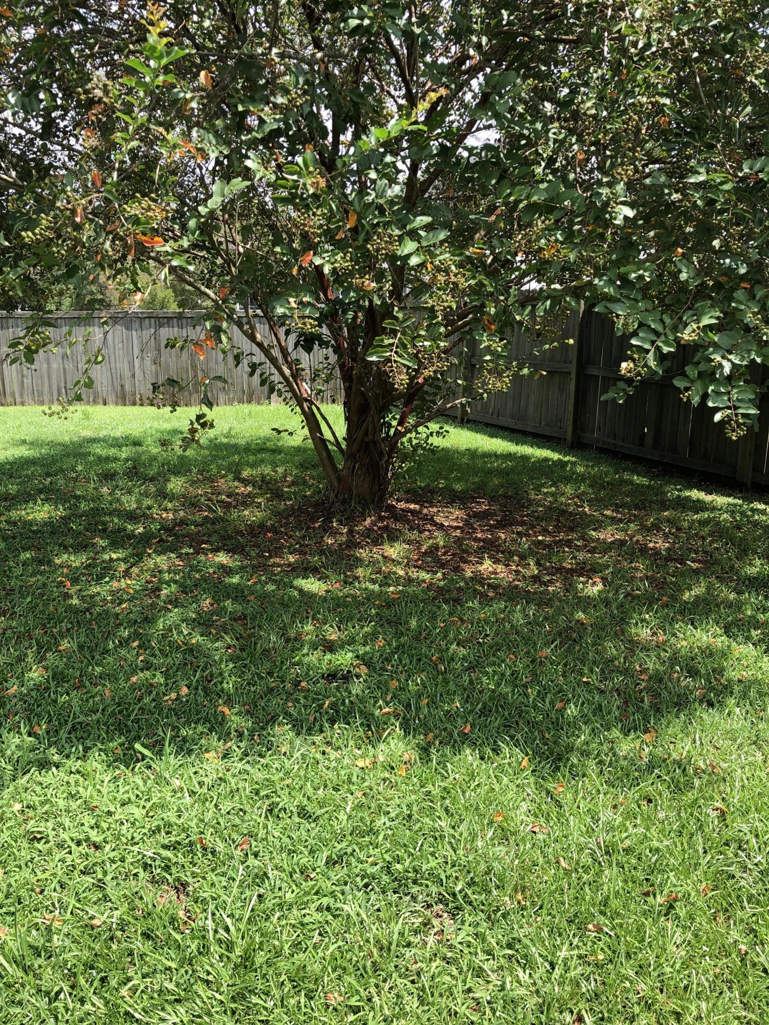9221 Creedmore Road Summerville, SC 29485 - Photo 22 of 22 IMG_3173
