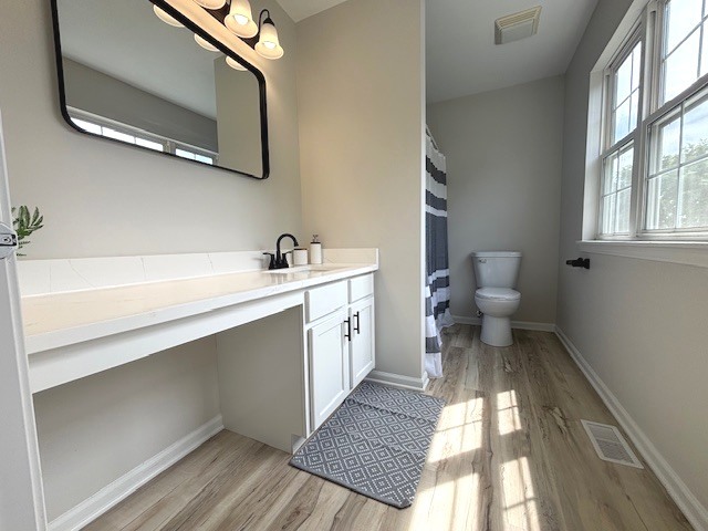 508 Ramsden Road Plano, IL 60545 - Photo 15 of 20 a bathroom with a sink a mirror and a toilet