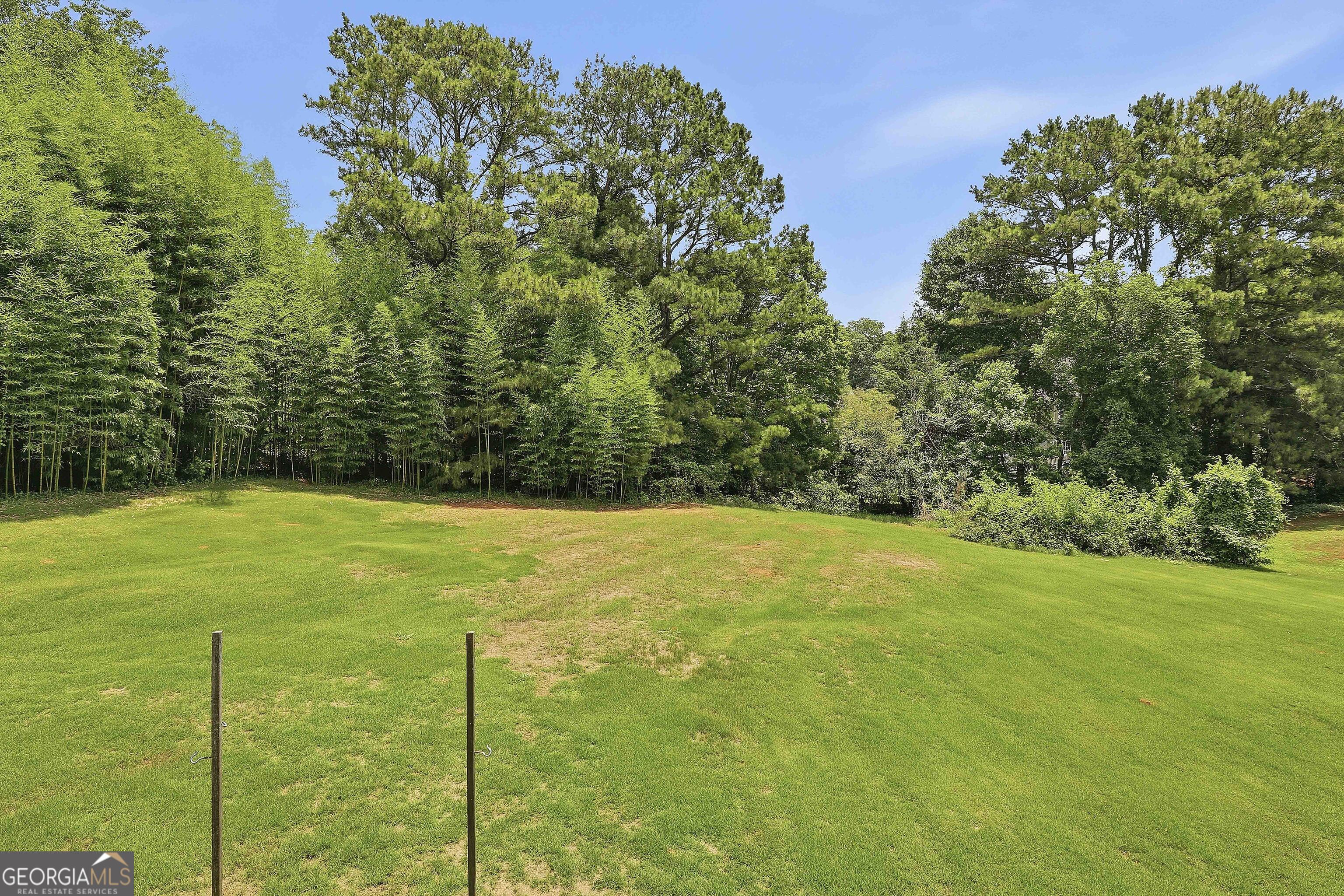 115 Strandhill Road Tyrone, GA 30290 - Photo 59 of 63