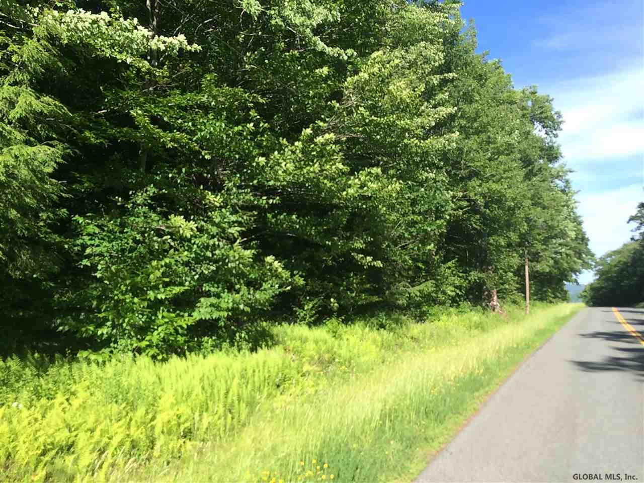 5 Toad Point Road, Unit RR 88 Petersburgh, NY 12138 - Photo 1 of 16 Photo 1