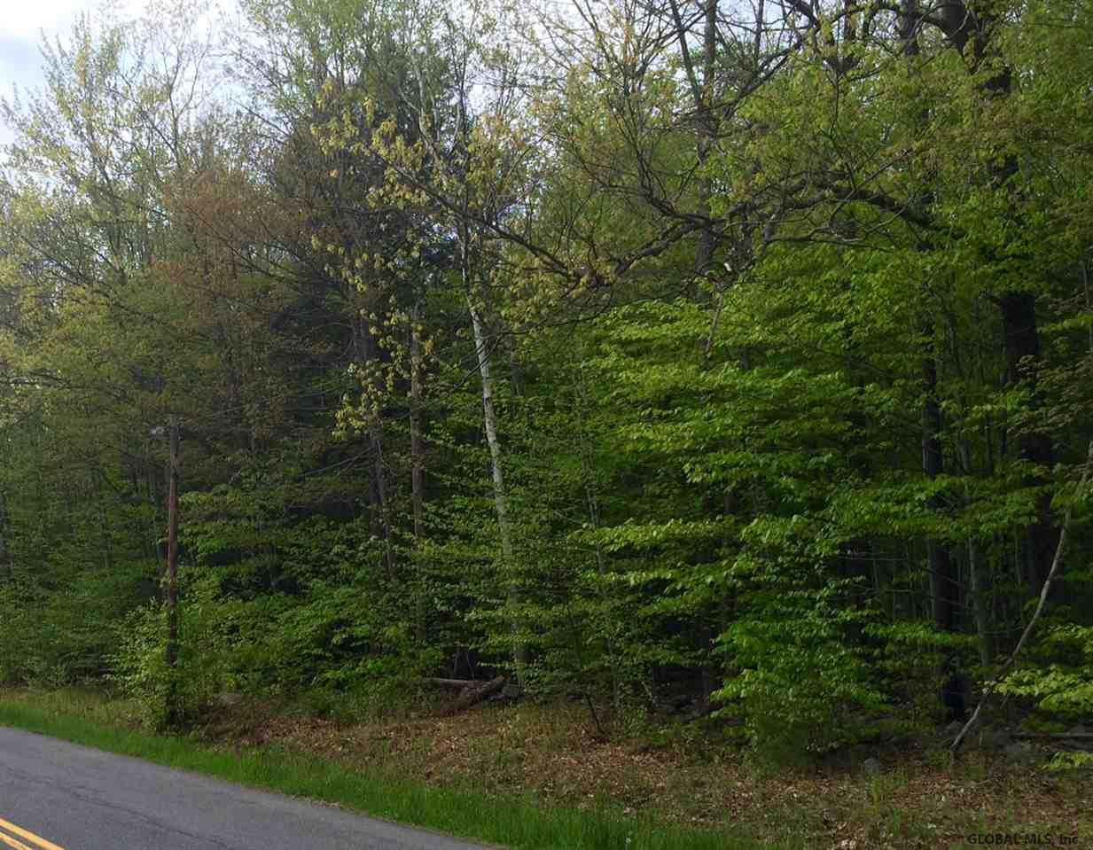 5 Toad Point Road, Unit RR 88 Petersburgh, NY 12138 - Photo 3 of 16 Photo 3