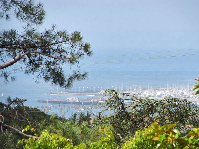 866 Deerpath Road Santa Barbara, CA 93108 - Photo 1 of 31 a view of a garden with a tree