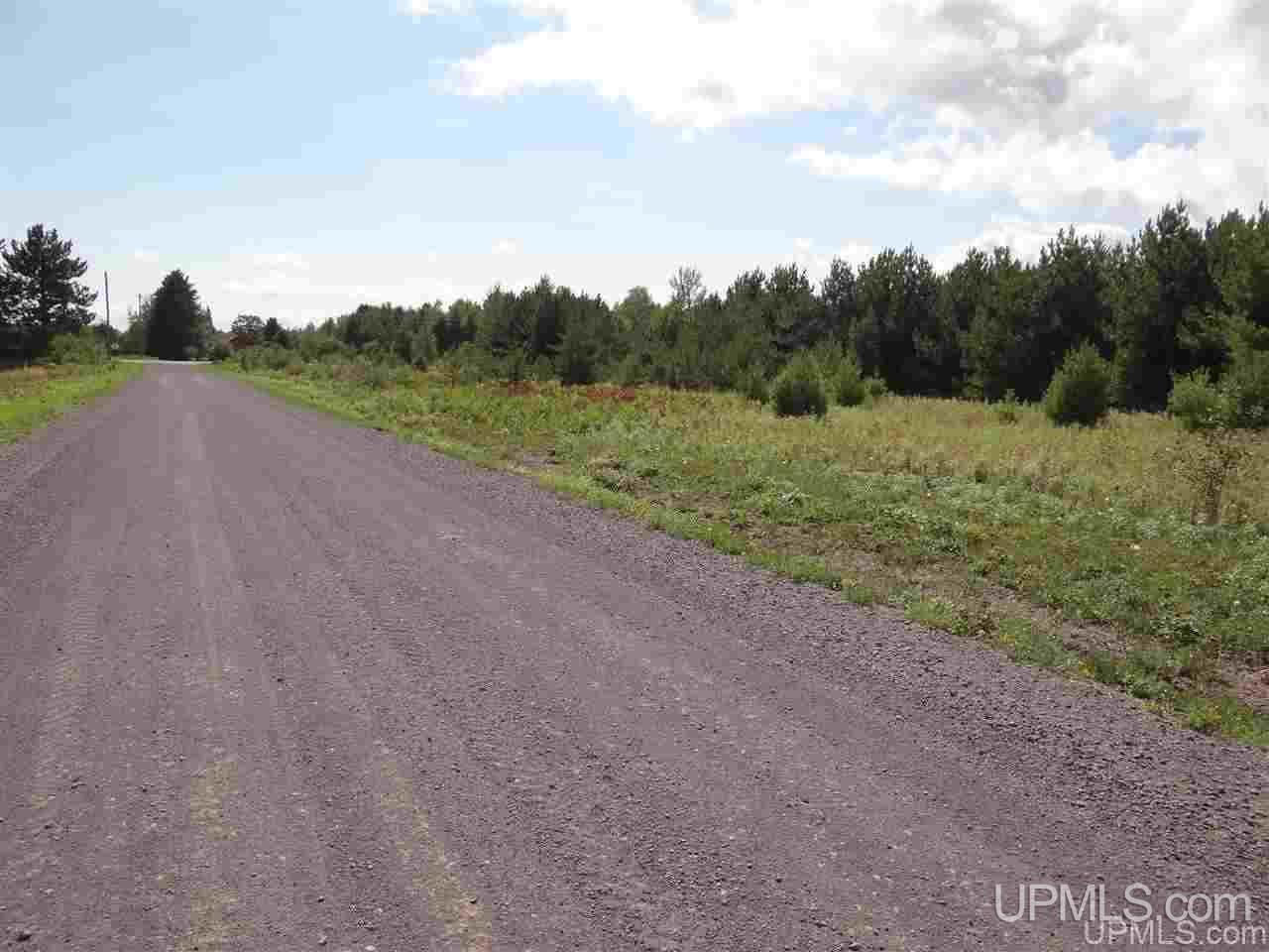 Tbd Leppi Road Lake Linden, MI 49945 - Photo 14 of 16
