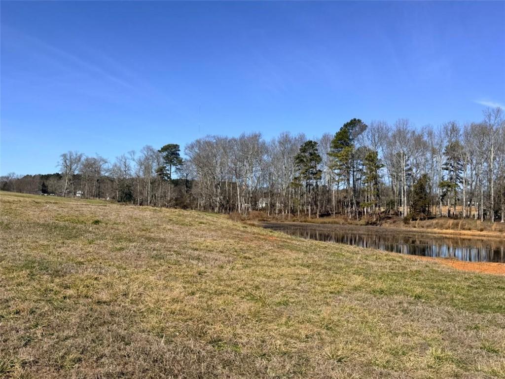 0 Adams Duncan Road Hull, GA 30646 - Photo 6 of 8