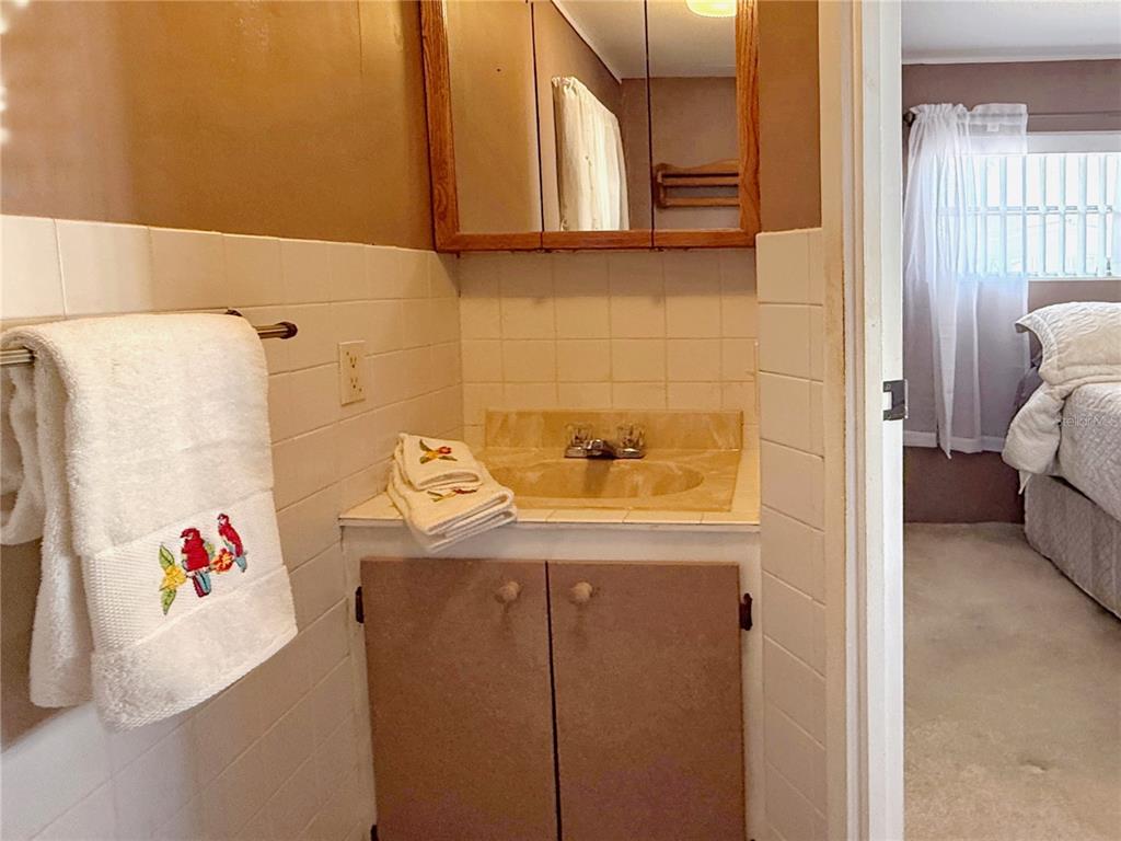 123 St Kitts Way Apollo Beach, FL 33572 - Photo 10 of 24