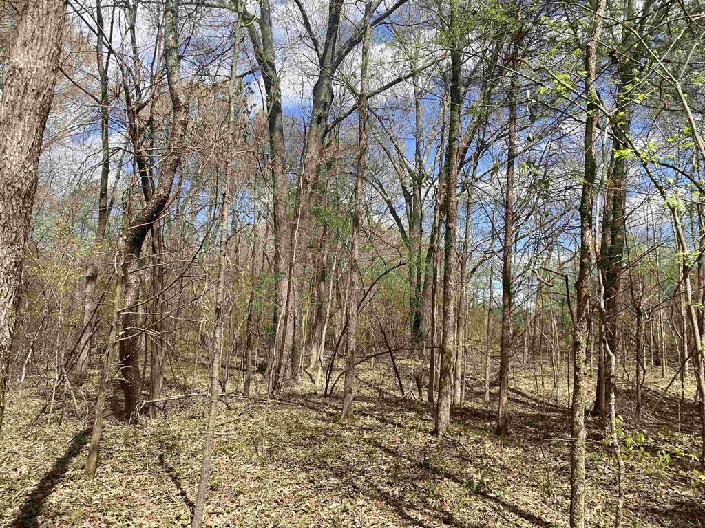 3845 Mebane Road Oakland, TN 38060 - Photo 6 of 9 a backyard of a house with lots of green space