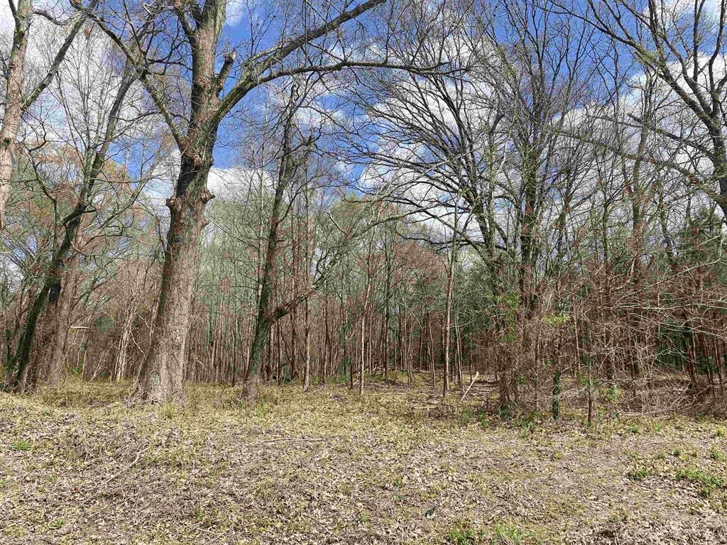 3845 Mebane Road Oakland, TN 38060 - Photo 7 of 9 a backyard of a house with lots of green space
