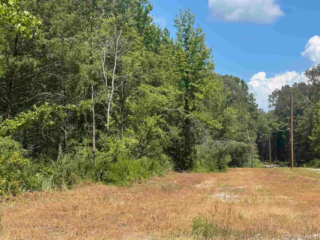 a view of a house with a tree