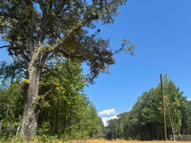 $174,000 | 3845 Mebane Road, Oakland, TN 38060