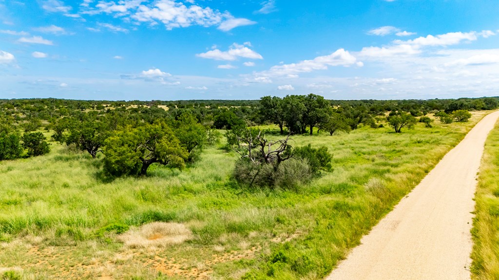 0 Jack Rabbit Road Doss, TX 78618 - Photo 12 of 20