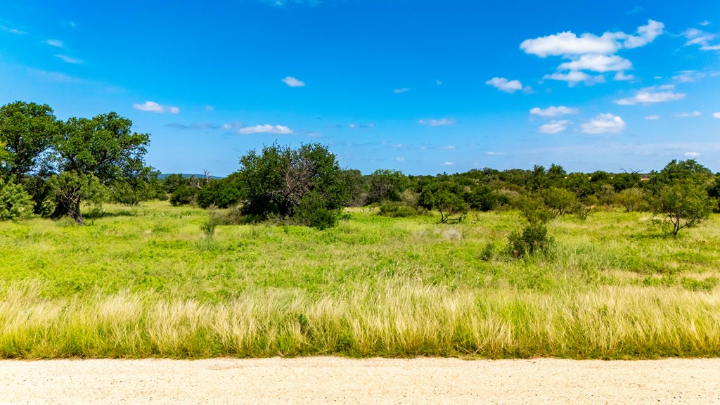 0 Jack Rabbit Road Doss, TX 78618 - Photo 15 of 20