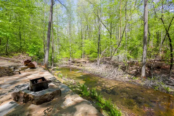 a backyard of a house with lots of green space