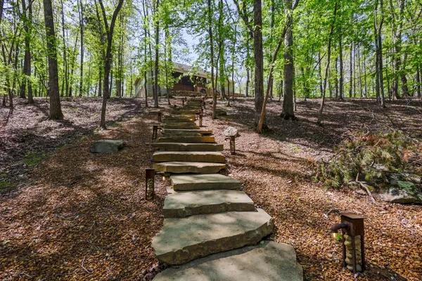 a view of a yard with trees