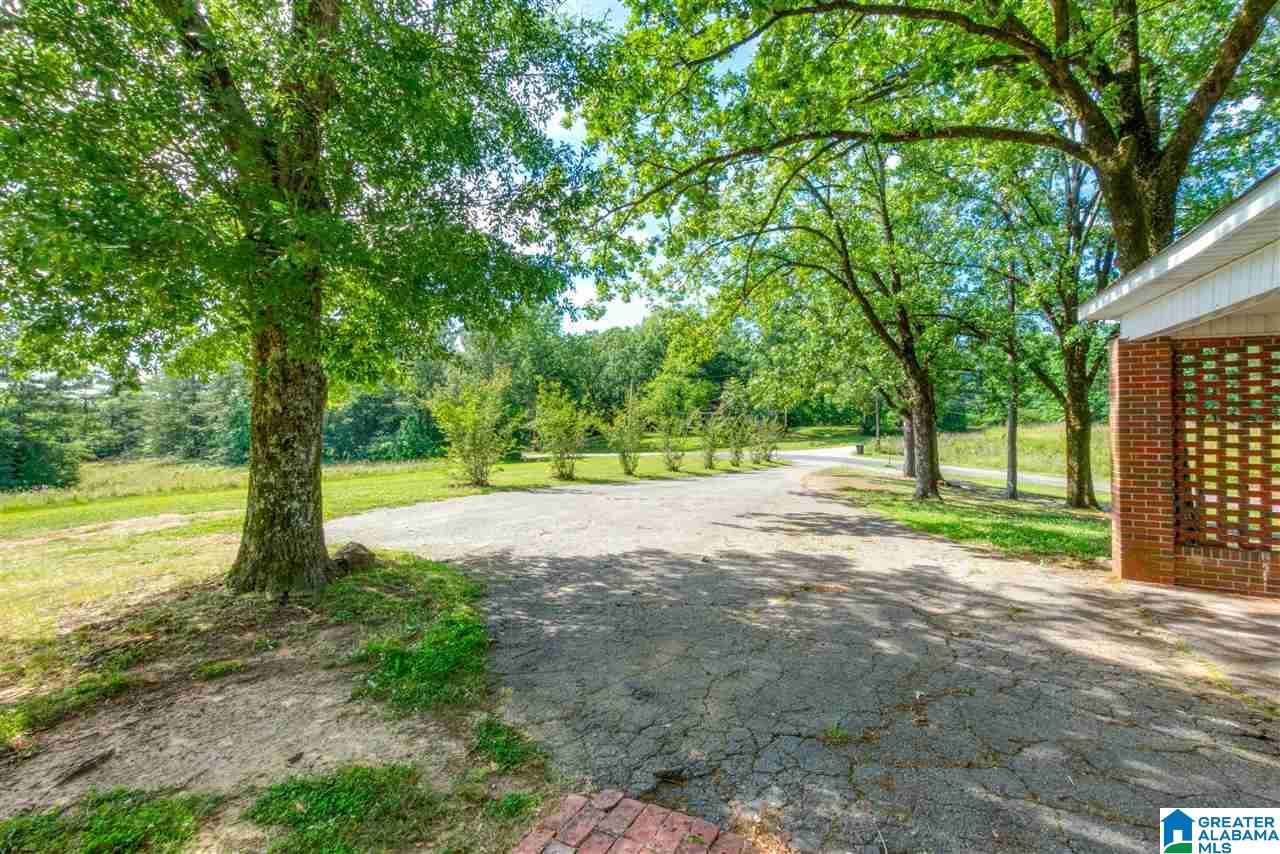 200 Highway 4 Calera Al Calera, AL 35040 - Photo 12 of 41