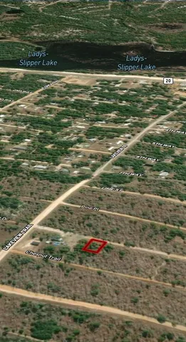 $6,700 | 46 Maple Drive, Interlachen, FL 32148