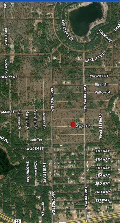 45 Maple Drive Interlachen, FL 32148 - Photo 4 of 5