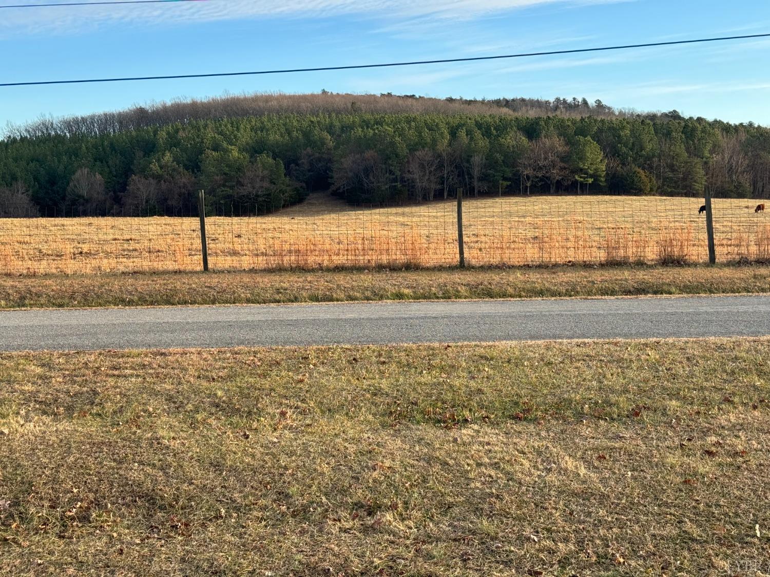 400 Pilot View Road Concord, VA 24538 - Photo 17 of 36 Long Established farm across the street should not be changing any time soon