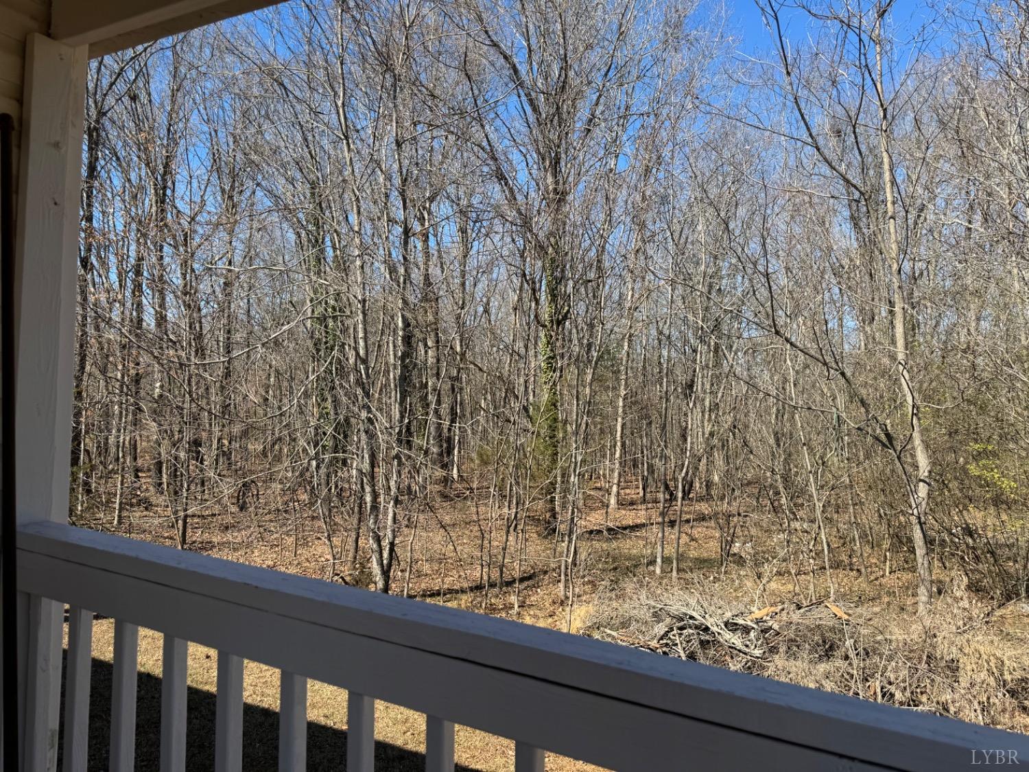 400 Pilot View Road Concord, VA 24538 - Photo 34 of 36 a view of a yard from a window