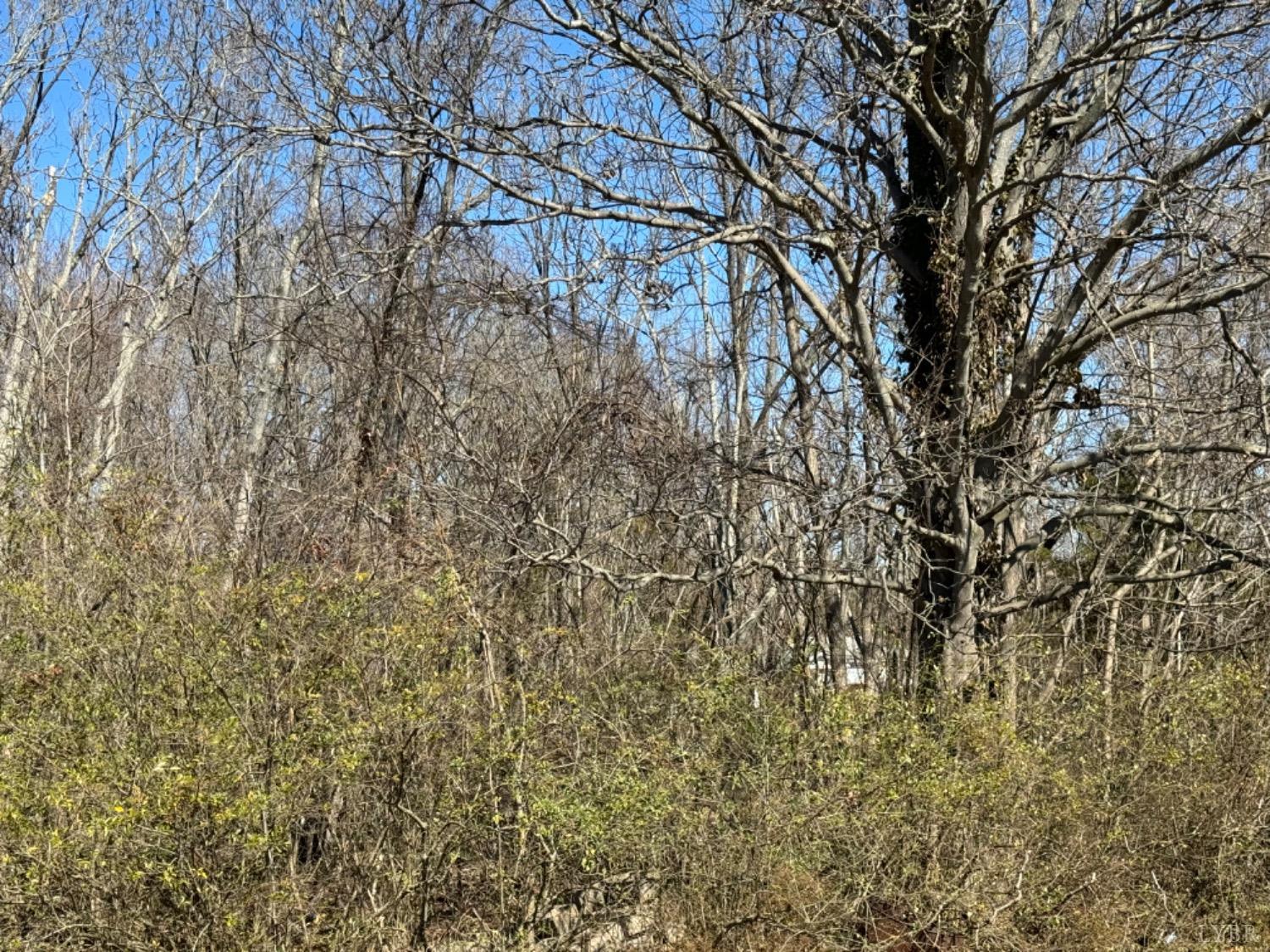 400 Pilot View Road Concord, VA 24538 - Photo 35 of 36 a view of a yard with a tree