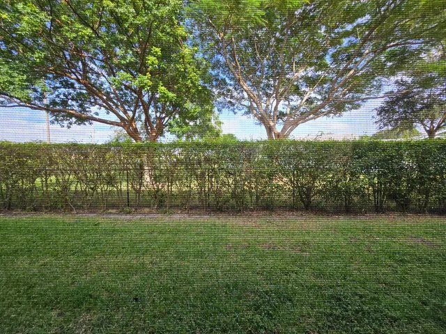 a row of palm trees and a yard of a house
