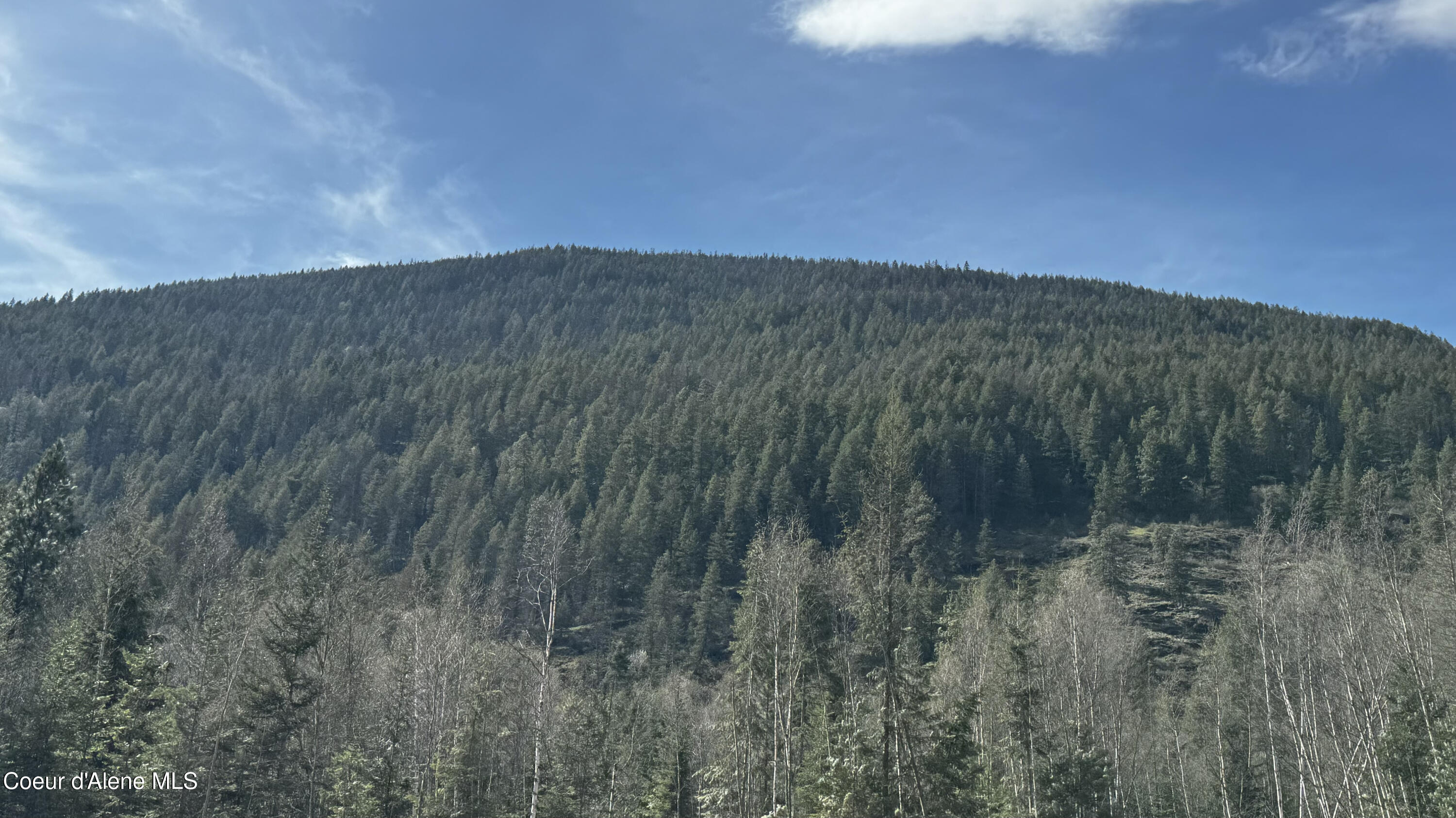 6 Bonners Ferry Bonners Ferry, ID 83805 - Photo 2 of 6 IMG_5597