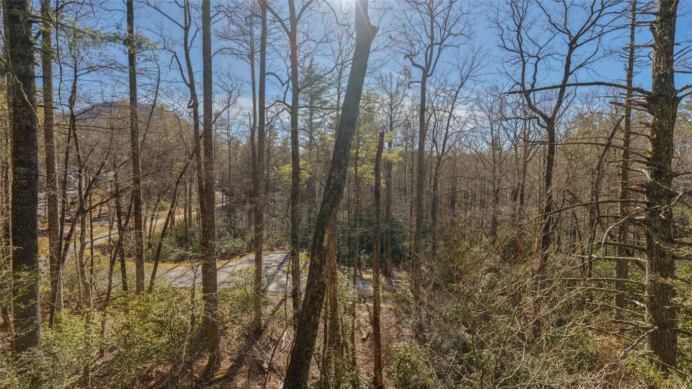87 Flagstone Road Sapphire, NC 28774 - Photo 5 of 14 Gallery Image 5
