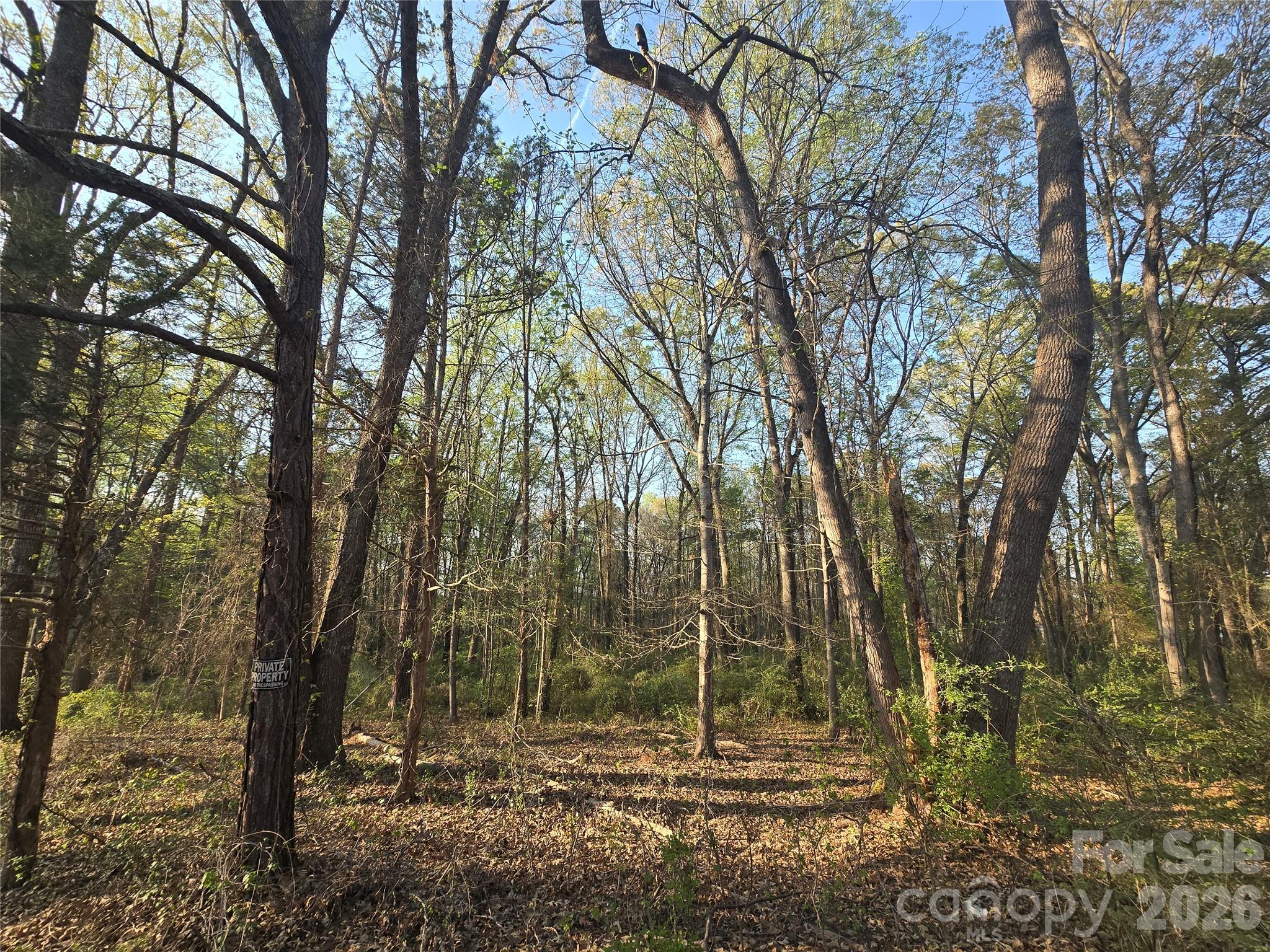 0 Aziza Road Rock Hill, SC 29732 - Photo 1 of 3 Gallery Image 1