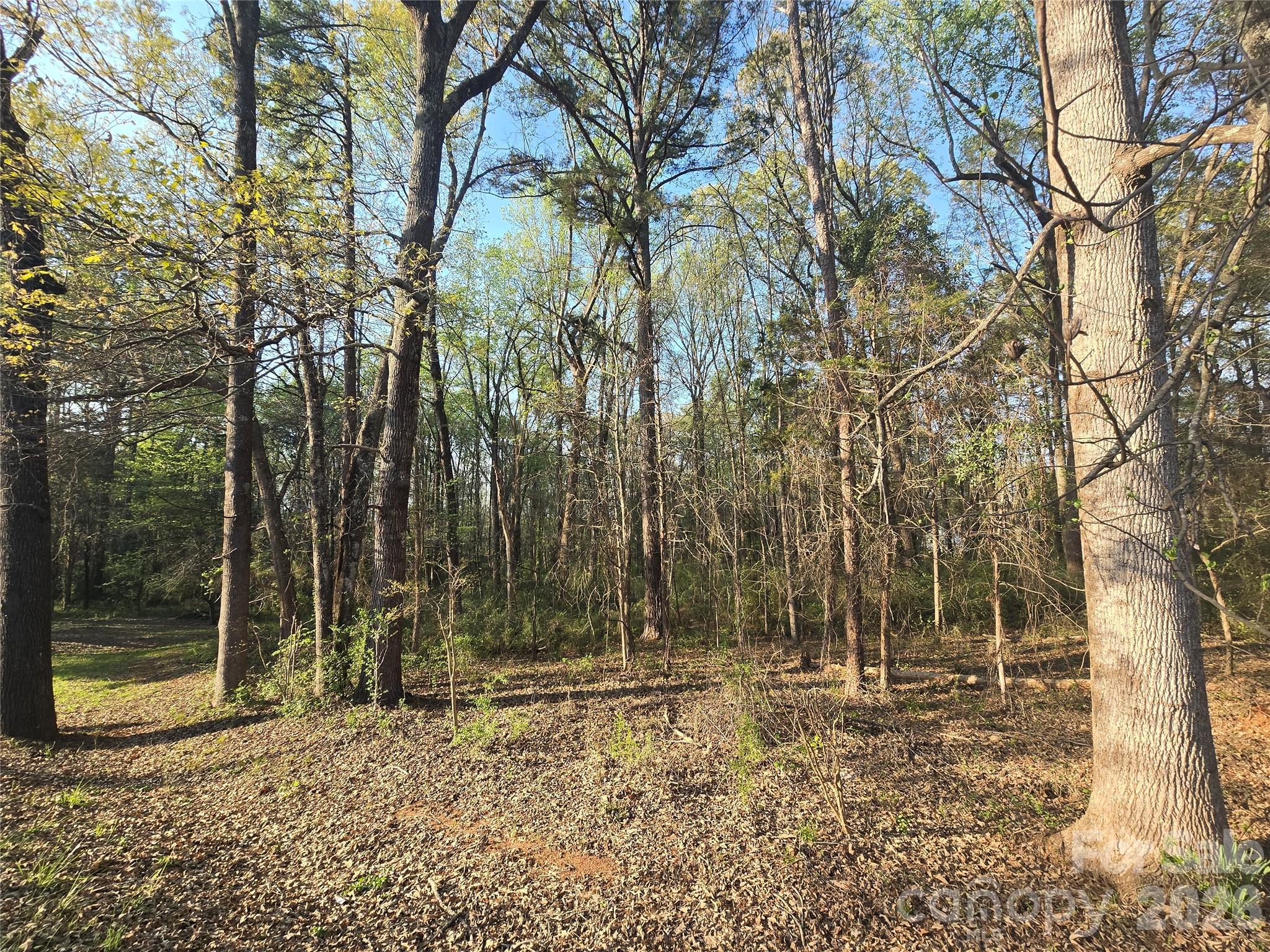 0 Aziza Road Rock Hill, SC 29732 - Photo 2 of 3 Gallery Image 2
