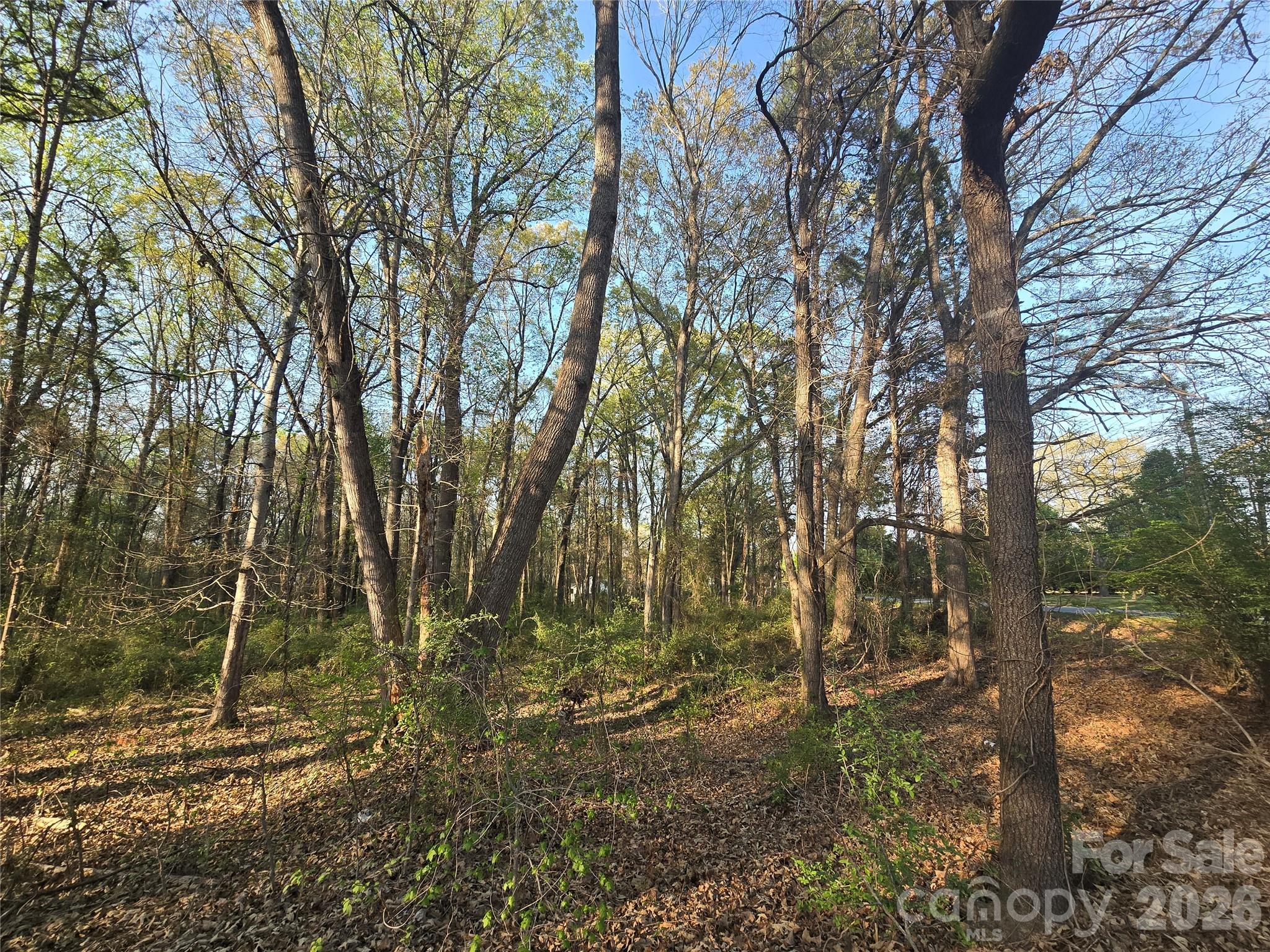 0 Aziza Road Rock Hill, SC 29732 - Photo 3 of 3 Gallery Image 3