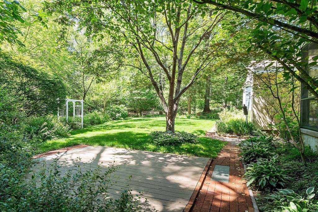 73 Forest Road Millis, MA 02054 - Photo 26 of 34 a view of a yard with plants and large trees