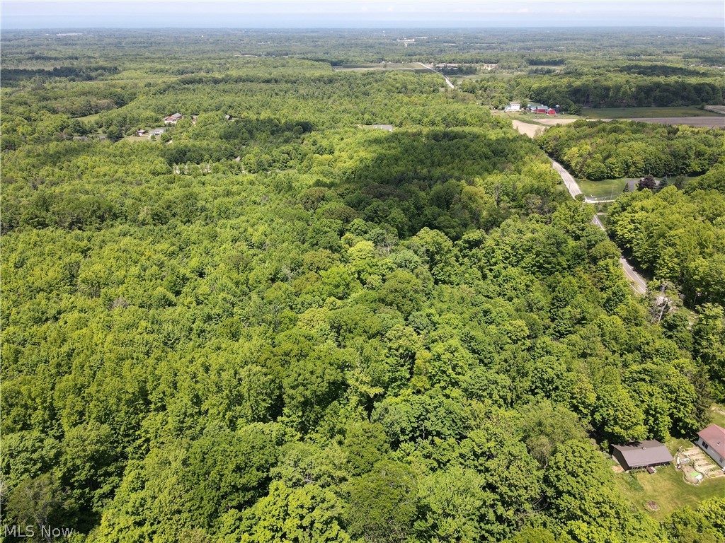 V/l Madison Road Thompson, OH 44086 - Photo 15 of 18