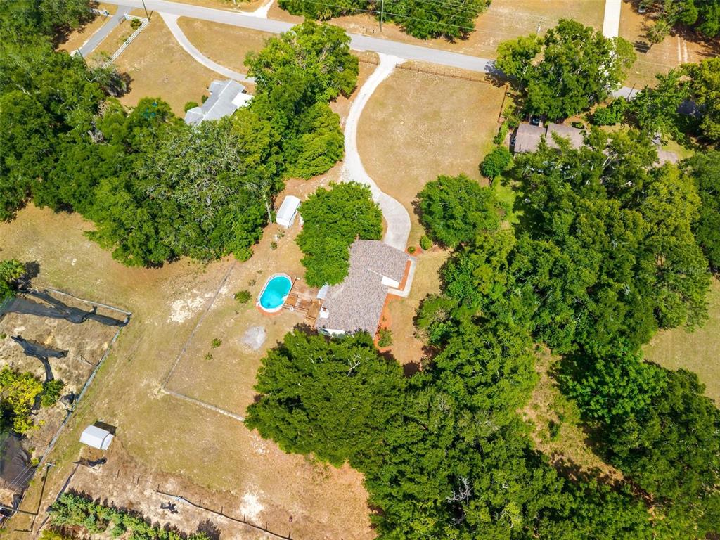 317 Tomato Hill Road Leesburg, FL 34748 - Photo 16 of 65