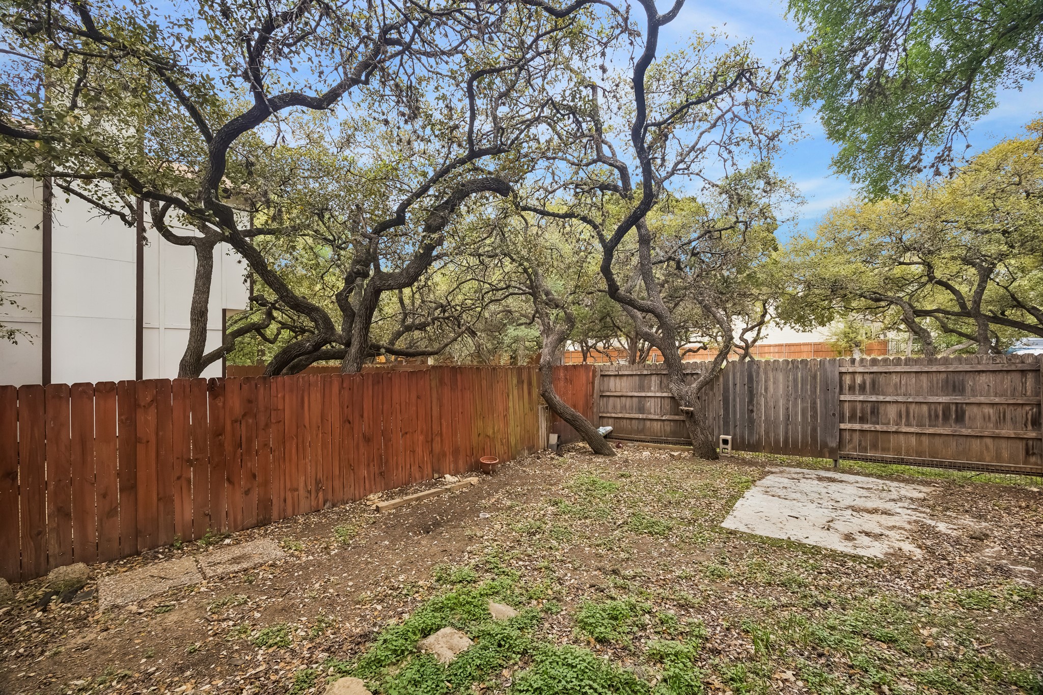 13529 George Road San Antonio, TX 78230 - Photo 8 of 29