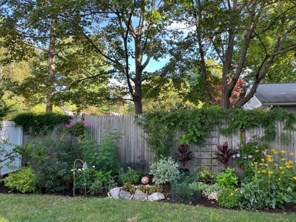 89 Beechwood Road Wellesley, MA 02482 - Photo 29 of 32 a view of a garden with plants and large trees