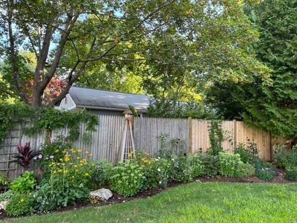 89 Beechwood Road Wellesley, MA 02482 - Photo 30 of 32 a backyard of a house with plants and large trees and wooden fence
