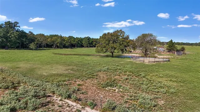 a view of a backyard with a garden