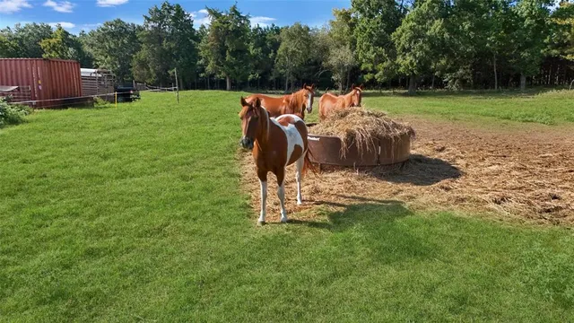 a view of a lake with houses in the back