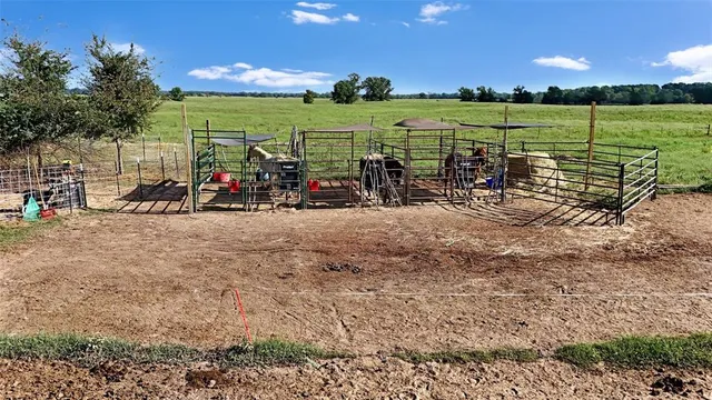 a view of a park with large trees