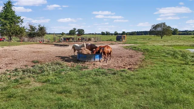 a view of a garden with basketball court