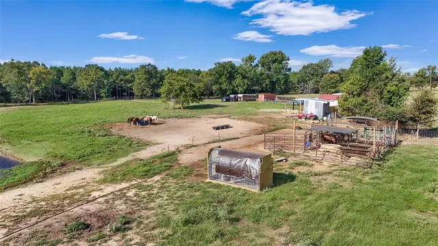 a view of an outdoor space yard and entertaining space
