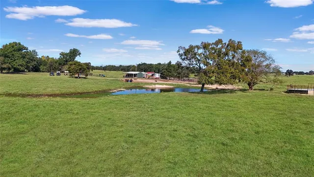 a view of a field of grass and trees