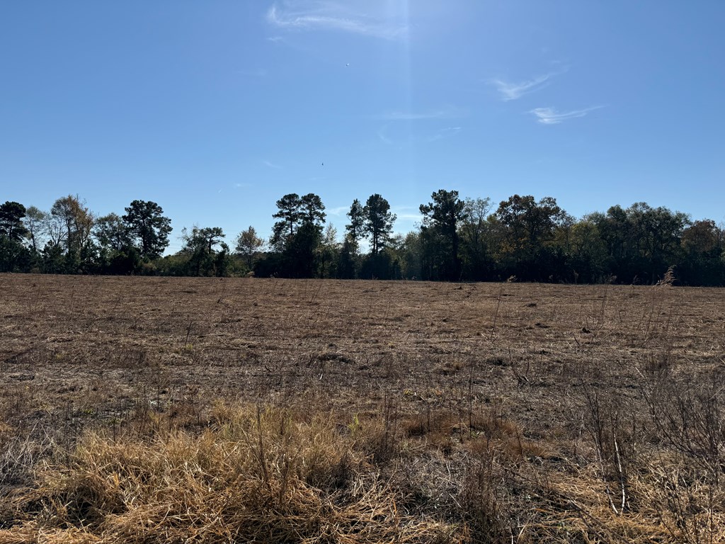 10.73-acres Huskey Road Dothan, AL 36303 - Photo 12 of 13
